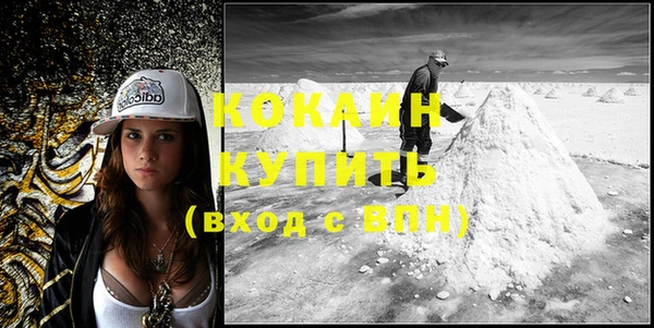соль ск Абаза