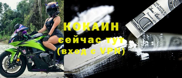 соль ск Абаза