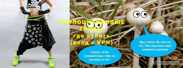 прущая мука Абинск