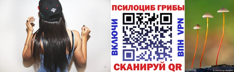купить наркоту Иваново Галлюциногенные грибы Psilocybe