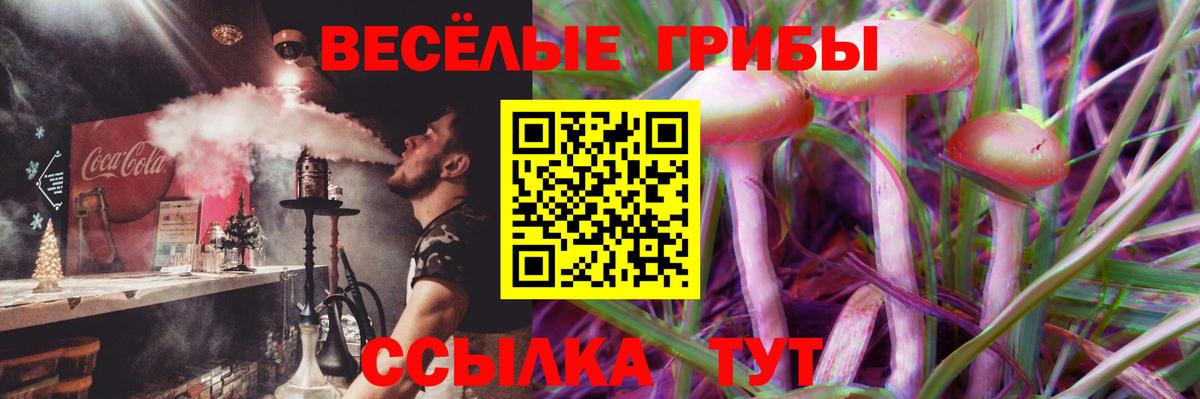 Иваново  закладки  Вход с VPN  Псилоцибиновые грибы прущие грибы  Галлюциногенные грибы GOLDEN TEACHER 